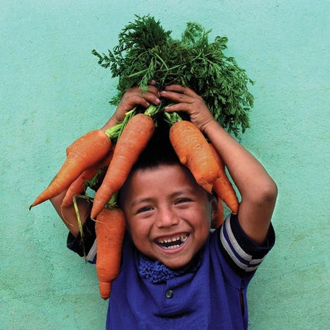 Give a gift that matters: a donation in your friend's name. This gift will provide seeds for a 1 acre community garden.   Healthy traditional foods such as corn