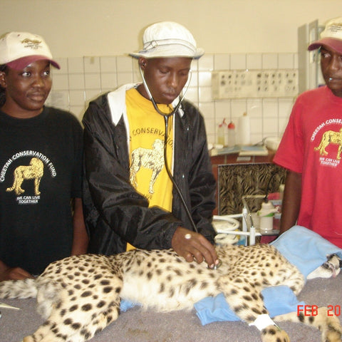 Give a gift that matters: a donation in your friend's name. Organised education programmes at CCF are designed mainly for groups accommodated at CCF’s tented Ca