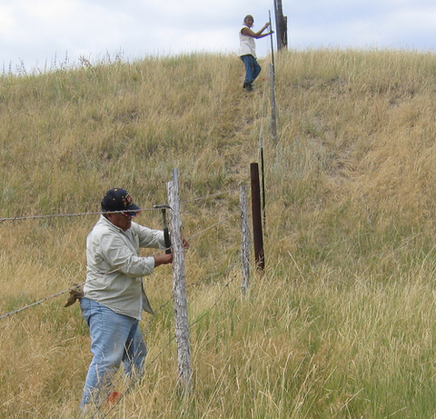 Give a gift that matters: a donation in your friend's name. This gift will help purchase 25 feet of quality buffalo fencing for Lakota bison caretakers living o