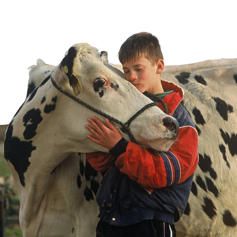 Give a gift that matters: a donation in your friend's name. When a family has a cow, every morning there's a glass of rich milk for the children to drink before