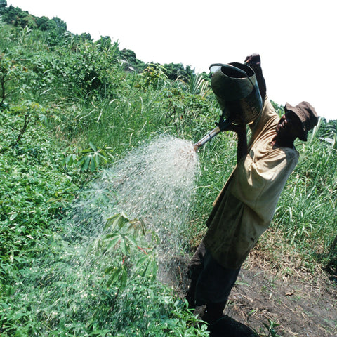 Give a gift that matters: a donation in your friend's name. The gift of a handpump allows farmers to tap into underground water to irrigate their fields, allowi