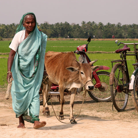 Give a gift that matters: a donation in your friend's name. This gift makes it possible for a Dalit in a self-help group sponsored by the Dalit Freedom Network 